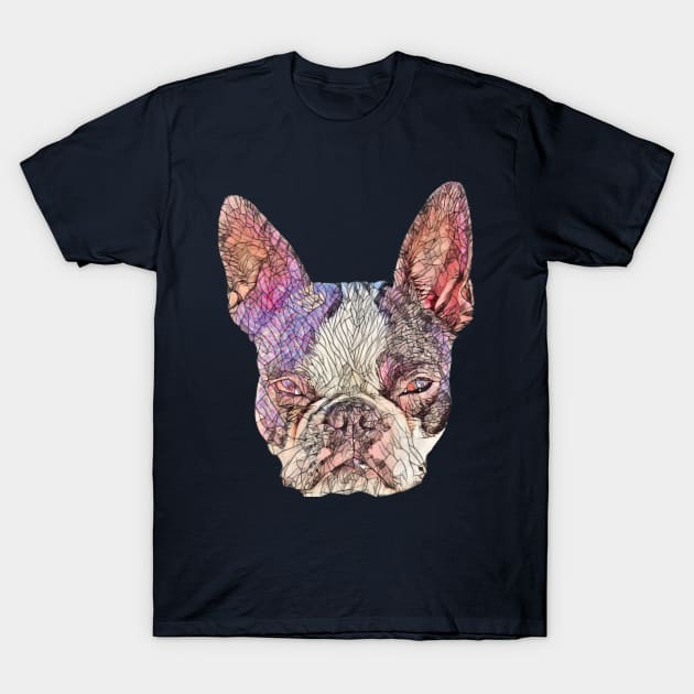 Boston Terrier Dog T-Shirt by DoggyStyles